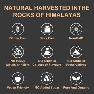 Vigo Pure Himalayan Shilajit Capsule 85% Acide Fulvique Grand Pot 125 Portions Suppléments à Base de Plantes US Lab Testé Organique Naturel - Product Image 6