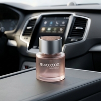 Diffuseur d'arômes pour voiture en bois, parfum d'ambiance longue durée, désodorisant pour l'intérieur du véhicule, marque BLACK ODOR
