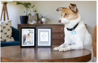 Cadre photo pour empreintes de pattes d'animaux avec kit d'empreintes en argile - Cadre en bois pour empreintes de pattes d'animaux, souvenir commémoratif DIY pour chats et chiens