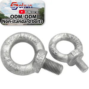 High-Quality Stainless Steel Rigging Hardware DIN580 Lifting Eye Bolt