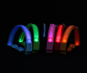 Collar LED de nailon ajustable para mascotas, seguridad nocturna sólida, resplandor oscuro, Correa fluorescente luminosa para perros, estampado personalizado para perros - Product Image 3