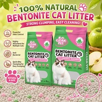 Litière pour chat en bentonite de haute qualité, vente directe d'usine, faible teneur en poussière, forte absorption, argile blanche pour chatons