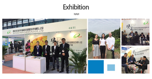 Độ hòa tan cao DAP 21-53-00 phân bón diammonium Phosphate giá nông nghiệp/Công nghệ lớp DAP 21 53 00 DAP tùy chỉnh - Product Image 6