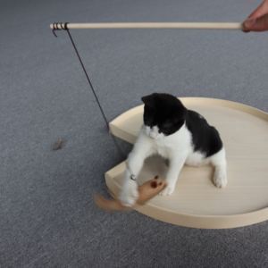 Juguete divertido de plumas para gatos de Vietnam, juguete interactivo sostenible de palo de hadas colorido para mascotas de madera para interiores para gatos - Product Image 2