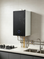 Chaudière à gaz à condensation à prémélange complet fiable de 24 kW, gaz naturel, classe ERP A, faible NOx, avec filtre à air externe détachable pratique