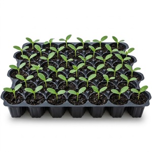 Bandeja de cultivo de plástico resistente Ref. 49, bandeja de plástico negra para plántulas, bandeja de propagación de vivero con celdas redondas profundas para germinación de semillas - Product Image 5