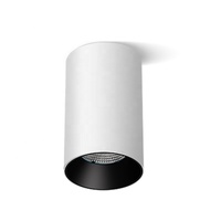 Projecteur cylindrique à montage en surface 33W au design moderne Downlight à LED Plafond intérieur commercial IP20