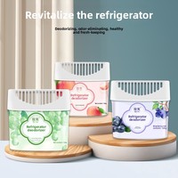 Désodorisant Solide pour Réfrigérateur, Éliminateur d'Odeurs, Parfum Pêche Raisin, Outil Magique de Nettoyage, Boîte Désodorisante pour Bureau et Voiture