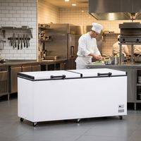 Congelador Comercial Eléctrico Mecánico de 3 Puertas, de Una Sola Temperatura, Sin Escarcha, con Enfriamiento por Aire, para Uso en Supermercados, Personalizable