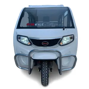 Manufacturer new produce pickup 3 wheel electric cargo tricycle with closed cargo box for adult