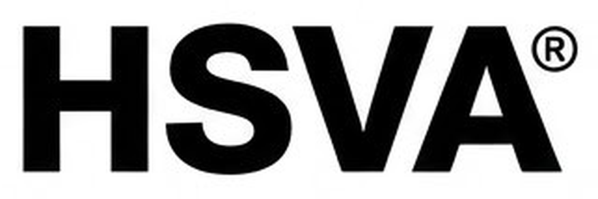 Hongsheng Valve (Guangdong) Co., Ltd. logo