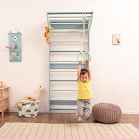 Échelle d'escalade en bois de bouleau conception d'escalade murale pour les enfants d'âge différent cadre d'escalade intérieur mur d'échelle suédois vente