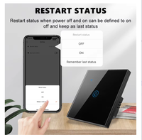 Interrupteur tactile intelligent Homekit pour chauffe-eau, climatiseur, commande vocale WiFi, norme européenne 20A/40A