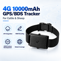 Traceur GPS multi-bandes Animal4G BDS pour bétail, bovins, moutons, chevaux, chameaux, étanche IP67, API, OEM ODM, application gratuite, géolocalisation, lecture des trajets
