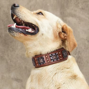 Mofesipi Hond Leer Anti Bite Klinknagel Kraag Grote Hond Halsband Metalen Gesp Verstelbaar Voor Honden Vintage Koeienhuid Materiaal - Product Image 3