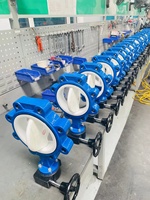 Vanne papillon à bride en fonte ductile Veyron GGG50 316 Ss avec actionneur 100 mm 6 pouces motorisée 800 mm avec joint en PTFE