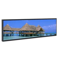 Ultra Wide 38 Car Stretch Screen for Promotion Advertising Display