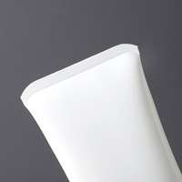 Vente en gros Emballage de cosmétiques Tube en plastique pour BB crème solaire pour soins corporels Crème cosmétique personnalisée Tube de massage à double bille roulante