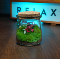 Terrarium en verre moderne et écologique avec couvercle pour plantes et fleurs, transparent, pour jardin et usage domestique