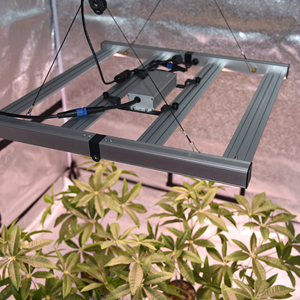 480 Watt Dimbare <span class=keywords><strong>Led</strong></span> Grow Light Bar <span class=keywords><strong>Samsung</strong></span> Lm 301H/Lm281b 660nm Uv Ir Full Spectrum Grow Light Voor Kas - Product Image 4