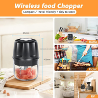 Mini hachoir électrique de cuisine, hachoir à viande portable, 250 ml, hachoir rechargeable par USB