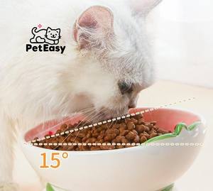 Best-seller più recente simpatici accessori Anti-ribaltamento per animali domestici a forma di frutta in ceramica doppio uso singola ciotola per cani di lusso - Product Image 2