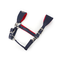 Harnais de cheval en nylon HanYang personnalisé OEM, sangle confortable à double épaisseur, réglable pour les chevaux, Chine Guangdong