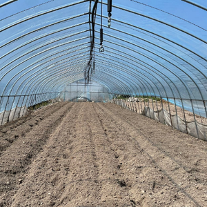 Serre commerciale monopente en PE avec structure en acier galvanisé à chaud et <span class=keywords><strong>filet</strong></span> <span class=keywords><strong>d</strong></span>'<span class=keywords><strong>ombrage</strong></span> <span class=keywords><strong>pour</strong></span> tunnels de culture de <span class=keywords><strong>tomates</strong></span> - Product Image 4