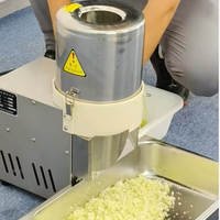 Nieuwe, populaire, automatische, multifunctionele groente- en fruit snijmachine met motor, hoge capaciteit groenteverwerkingsinstallatie
