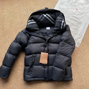 Veste d'hiver à capuche en duvet 100% pour homme, style décontracté de luxe BUR 2026, imperméable au vent, avec fermeture éclair - Product Image 5