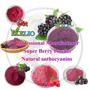 En iyi fiyat ekinezya Purpurea özü tozu ekinezya özü cory asit - Product Image 2