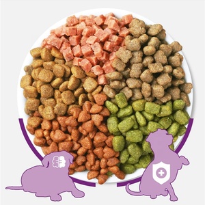 Mesin Ekstruder Makanan Anjing Kucing Otomatis, Mesin Pembuat Kibble Makanan Anjing, Mesin Pembuat Pelet Pakan Hewan, Mesin Pengolah Pakan - Product Image 6