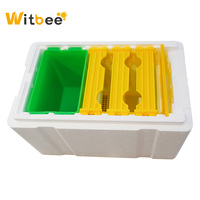 Witbee B-22 Boîte d'accouplement mini en polystyrène jaune et blanc pour reine, 3 cadres, pour l'élevage des reines et la pollinisation, Nouvel équipement apicole