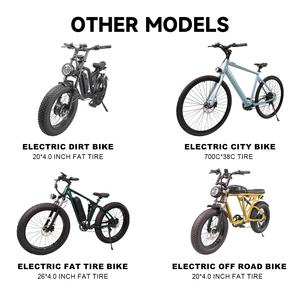 Vélo Électrique <span class=keywords><strong>Cargo</strong></span> à Gros Pneus de 20 x 3,0 Pouces, Batterie au Lithium 48V 20Ah, Vélo <span class=keywords><strong>Cargo</strong></span> Électrique 500W - Product Image 5