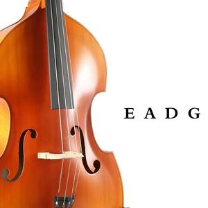 Cuerda de <span class=keywords><strong>contrabajo</strong></span> vertical profesional en stock de fábrica al por mayor 4/4 3/4 1/2 1/4 1/8 - Product Image 1