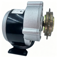Kit de conversión eléctrica de 24V, motor de CC con engranajes, motor para scooter, motor de tracción central, motor de alto par, motor eléctrico, motor de CC con escobillas, proveedor de motores