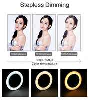 Lampu Cincin LED Swafoto, Fotografi Kecantikan Ponsel Suhu Warna 3000-6500K 40W 14 Inci
