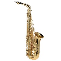 Alto Saxophone Gold Lacquered Woodwind Instrument with EB Tone Brass Surface