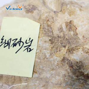 ตัวอย่างแร่ทรายละเอียด ตัวแทนที่เป็นตัวอย่างทั่วไปของตะกอนในแม่น้ำและทะเลสาบ ตัวอย่างมาตรฐานสำหรับงานธรณีวิทยา - Product Image 1