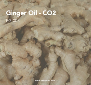 น้ำมันหอมระเหยขิง CO2 แท้รับประกันคุณภาพ สำหรับการดูแลส่วนบุคคลและการบำบัด (FG-003) วาน อโรมา - Product Image 2