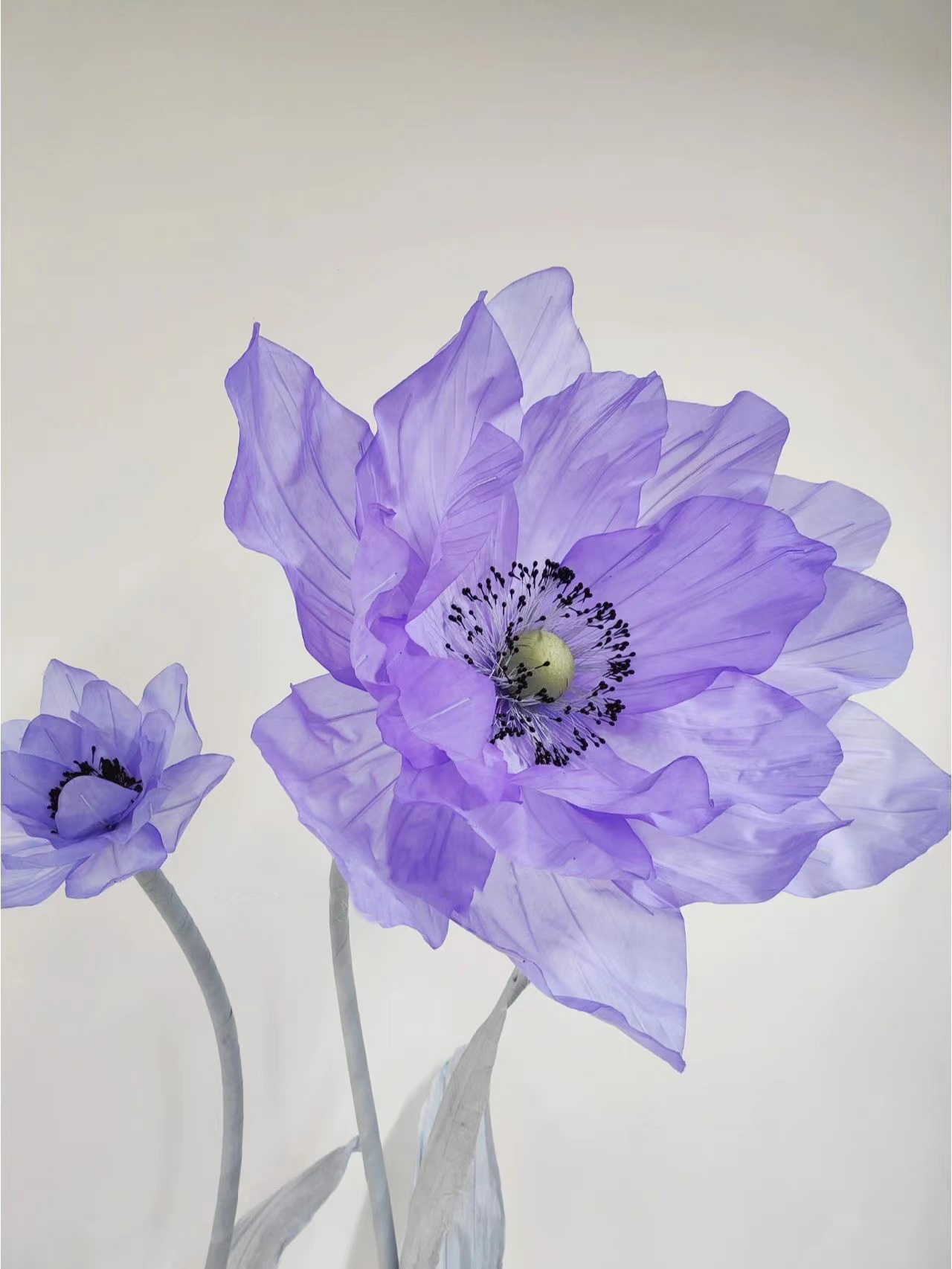 coquelicot de 30 cm