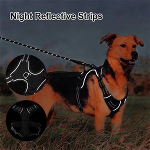 เสื้อกั๊กสุนัขพร้อมสายจูงและโบว์สำหรับเดินกลางแจ้งชุดปลอกคอสายจูงสุนัขแบบปรับได้ OEM ตามต้องการ - Product Image 6