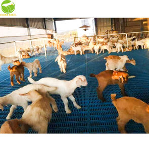 Plancher à lattes en plastique 1000*500*42mm pour l'élevage de moutons de chèvre <span class=keywords><strong>Prix</strong></span> de gros Plancher à lattes en plastique pour l'élevage de moutons de chèvre - Product Image 4