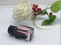 Nouveau style 15ml 20ml bouteilles d'encre en verre transparent vide de luxe emballage récipient en verre encre colorée trempée dans l'eau stylo bouteille fendue