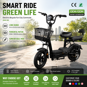 Vélo électrique compact pour adulte, personnalisé, léger, à deux roues, avec moteur à moyeu arrière - Product Image 4
