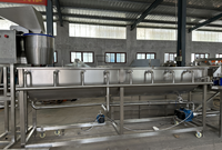 Industriële productielijn voor aardappelchips van 200 kg/uur met automatische friteuse voor snacks