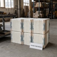 Modul Insulasi Serat Keramik untuk Pelapis Tungku Boiler, Blok Refraktori, Suhu Tinggi 1430C, Ukuran Dapat Disesuaikan, Warna Putih