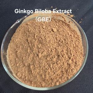 Bubuk <span class=keywords><strong>Ginkgo</strong></span> <span class=keywords><strong>Biloba</strong></span> Organik Liar Berkualitas Tinggi - Suplemen Herbal Peningkat Imunitas Grosir dengan Kemasan Drum yang Dapat Disesuaikan - Product Image 2