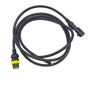 Custom Waterproof Automotive DJ7021Y-1.5-11/21 Male And Female 2-pin Connector Wiring Harness For Car