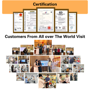 Magicbelle tecar back 4S อุปกรณ์ฟื้นฟูผิวด้วยคลื่นความถี่วิทยุพร้อมหน้าจอสัมผัสสำหรับดูแลร่างกายสัตว์ - Product Image 6